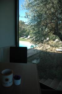 Paesaggio naturale nelle vicinanze dell'hotel