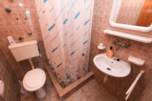 a bathroom with a toilet and a sink at Apartments Viki in Podobuče