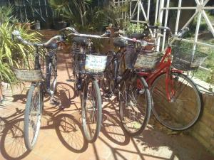 a group of three bikes parked next to each other at B&B In Centro in San Benedetto del Tronto