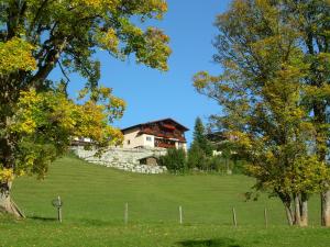 米特西爾的住宿－Gastehaus Egger，绿树成荫的山顶上的房子