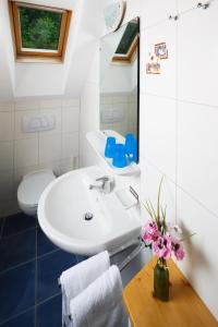a bathroom with a sink and a toilet at ÖKO Feriendorf Schlierbach in Schlierbach