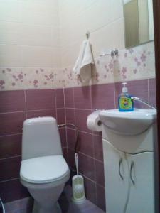 y baño con aseo y lavamanos. en Skovoroda apartment, en Leópolis