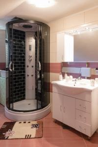 W łazience znajduje się prysznic i umywalka. w obiekcie Apartment Luketić w mieście Slunj