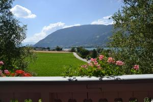 Paesaggio naturale nelle vicinanze dell'affittacamere