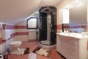 a bathroom with a shower and a toilet and a sink at Apartment Luketić in Slunj
