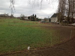 Zahrada ubytování Bauernstube Scheidterhof