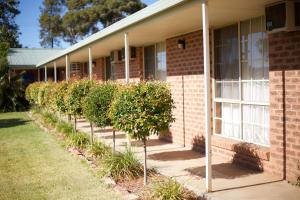 a brick building with a row of trees in front of it at Balranald Colony Inn Motel in Balranald