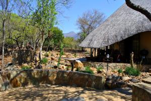 Gallery image of Bona Intaba Game Lodge in Hoedspruit