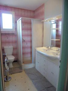 een badkamer met een toilet, een wastafel en een douche bij Chez Aline in Salles-dʼArmagnac