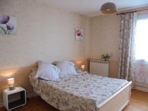 1 dormitorio con 1 cama con almohadas y TV en Chez Aline, en Salles-dʼArmagnac