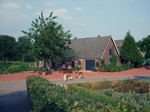 two dogs walking on a sidewalk in front of a house at De Priesnitzhoeve in Laag-Soeren