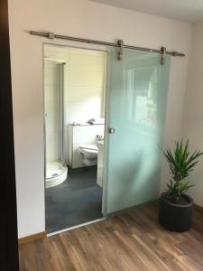 a bathroom with a toilet and a glass door at Seehotel Lilly in Strobl