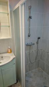 a bathroom with a shower and a sink at Torni Apartment in Kuressaare