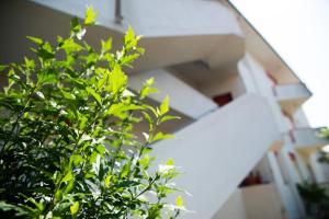a green bush in front of a house at Cristallo Verde Mare in Alba Adriatica
