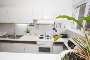 Кухня или мини-кухня в Apartment Ema
