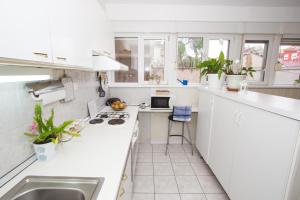 Кухня или мини-кухня в Apartment Ema
