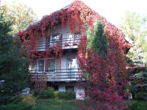a building covered in red ivy at Pokoje i apartamenty przy Sosnowej in Poddąbie