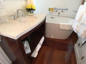 a bathroom with a sink and a bath tub at Camden Riverhouse Hotel and Inn in Camden