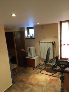 Fitness centrum a/nebo fitness zařízení v ubytování Davidkov Holiday Home