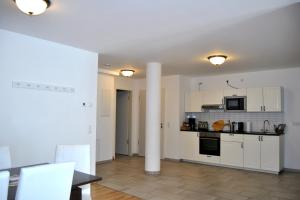 Η κουζίνα ή μικρή κουζίνα στο Vailo City Suites Leipzig Altstadt