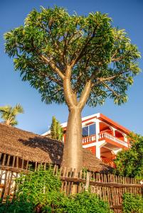 un árbol detrás de una valla de madera delante de una casa en Coucher de Soleil en Ambatoloaka