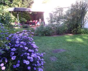einen Garten mit lila Blumen und einem Pavillon in der Unterkunft AusZeit Nähe Airport in Kleineichen