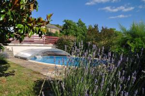 a swimming pool in a garden with purple flowers at Chez Lucien in Trébas +18 photos