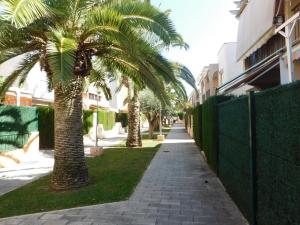 デニアにあるLos Molinos-Turistikaの塀の横に椰子の木が並ぶ歩道