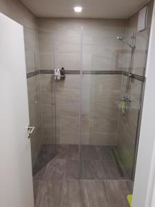 a shower with a glass door in a bathroom at Zur Wagnerei in Aich