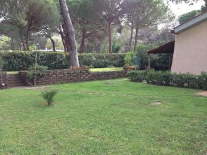 a yard with a retaining wall and a tree at Villa in Punta Ala in Punta Ala