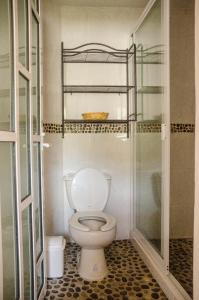 a bathroom with a toilet and a glass shower at Hospedaje Casa Verde in Tepoztl&aacute;n