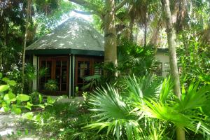 a small house in the middle of a forest at Jungle Cocoon Boutique Hotel in Caye Caulker
