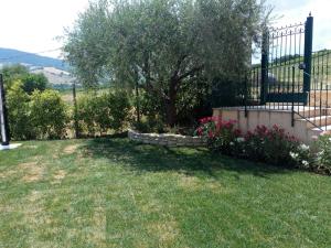 A garden outside Le Vigne di Clementina Fabi