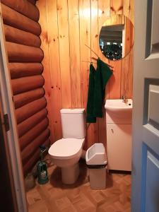 ein Bad mit einem WC und einem Waschbecken in der Unterkunft Pie Ozola in Repši