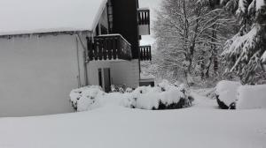 ハーネンクレー・ボックスヴィーゼにあるFerienwohnung Kück-Birkenwegの雪に覆われた庭