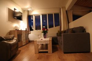 Posezení v ubytování Hotel Kjarnalundur- Aurora Dream - Lodges and Rooms