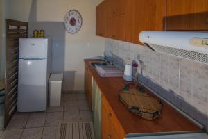 Kuchyňa alebo kuchynka v ubytovaní Coastal Apartments Volos Alykes