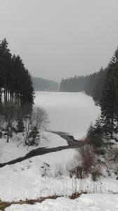 ハーネンクレー・ボックスヴィーゼにあるFerienwohnung Kück-Birkenwegの地面と木々が雪に凍った湖