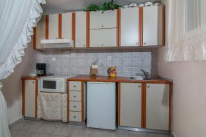 Kuchyňa alebo kuchynka v ubytovaní Coastal Apartments Volos Alykes