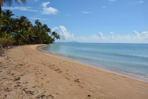 a sandy beach with palm trees and the ocean at Crescent Cove 87 at Palmas in Humacao +3 photos