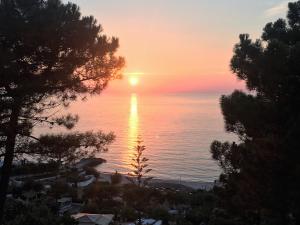 een zonsondergang boven de oceaan met bomen op de voorgrond bij Hotel Porto Pirgos in Parghelia