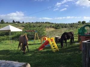 ポマランチェにあるLa Fattoria di Valentinaの遊び場横の芝生の草木の上で放牧する馬2頭