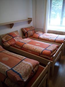 Un pat sau paturi într-o cameră la U Janečků