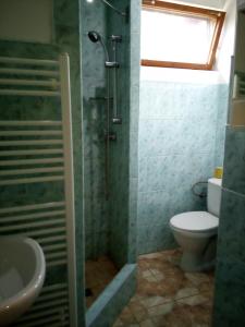 y baño con ducha, aseo y lavamanos. en U Janečků en Teplice nad Metují