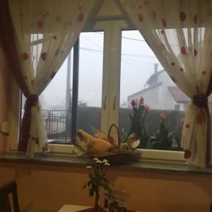 kosz owoców siedzący na parapecie w obiekcie Lugarnica w Zagrzebiu