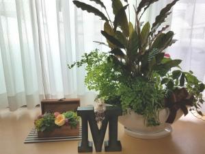 Fotografie z fotogalerie ubytování Villa M Guesthouse v destinaci Kanazawa