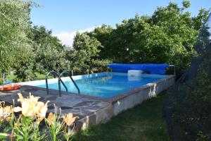 a swimming pool in a yard with trees at Casa Miguel in Olea
