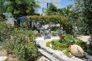 a garden with plants and flowers in front of a house at Pension Sofia Amorgos-Katapola in Katapola
