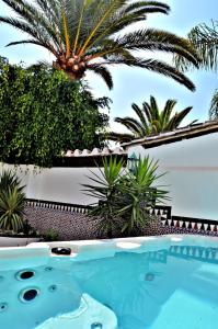 une piscine avec des palmiers en arrière-plan dans l'établissement Villa Carabeo, à Nerja