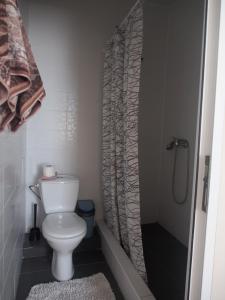 カバルジンカにあるYuzhny Platanのバスルーム(トイレ、シャワー付)